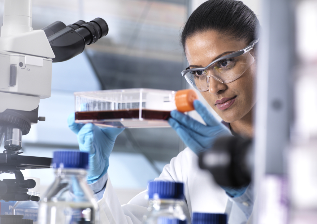 Biomedizinische Forschung, Wissenschaftlerin betrachtet Stammzellen