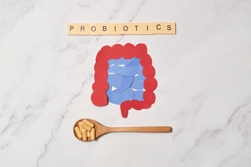 grau melierter Hintergrund mit den Buchstaben Probiotics einem Kochlöffel mit Kapseln sowie einer Abbildung des Darms in rot und blau