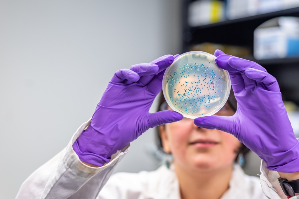 Frau mit lila Hygienehandschuhen hält ihre Hände in die Kamera und zeigt Mikroorganismen in einem runden dünnen Reagenzglas