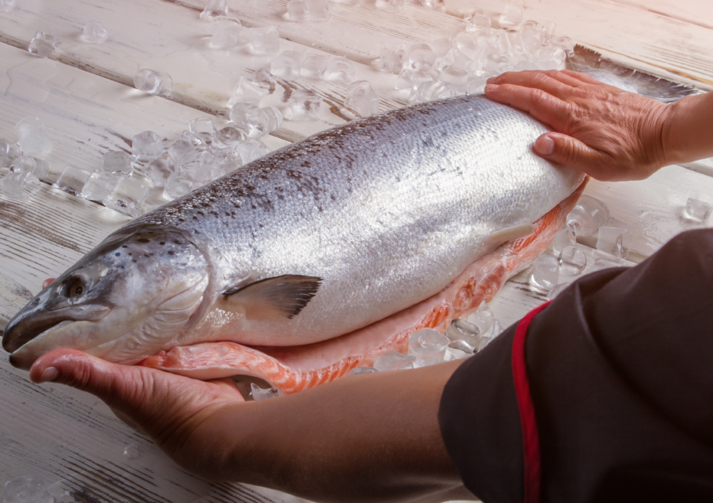 Mann berührt Fisch