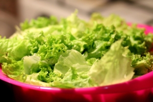 Hände bereiten einen frischen Salat zu, der mit dem Ozempic-Salat-Trend in Verbindung gebracht wird – Foto: Pexels / Pixabay