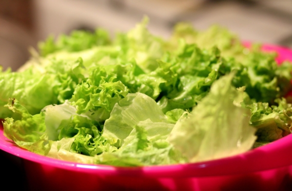 Hände bereiten einen frischen Salat zu, der mit dem Ozempic-Salat-Trend in Verbindung gebracht wird – Foto: Pexels / Pixabay