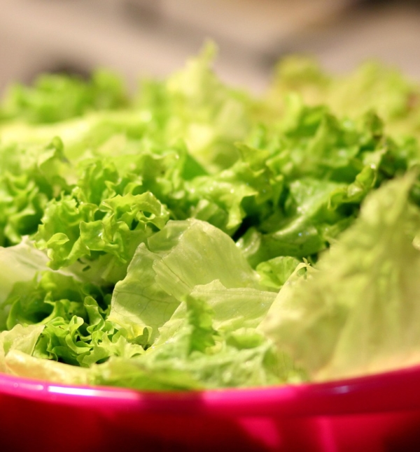 Hände bereiten einen frischen Salat zu, der mit dem Ozempic-Salat-Trend in Verbindung gebracht wird – Foto: Pexels / Pixabay